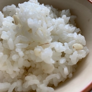 一手間でふっくら！冷凍ご飯のおいしい解凍法